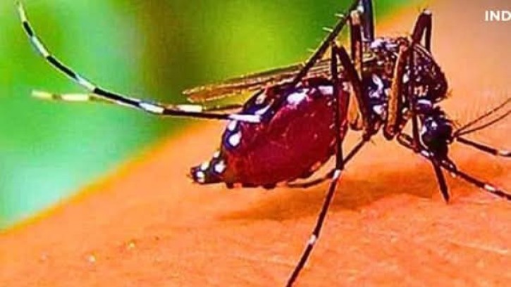 ডেঙ্গুতে আতঙ্ক নয়, বিপৎসংকেতগুলো চিনে নিন