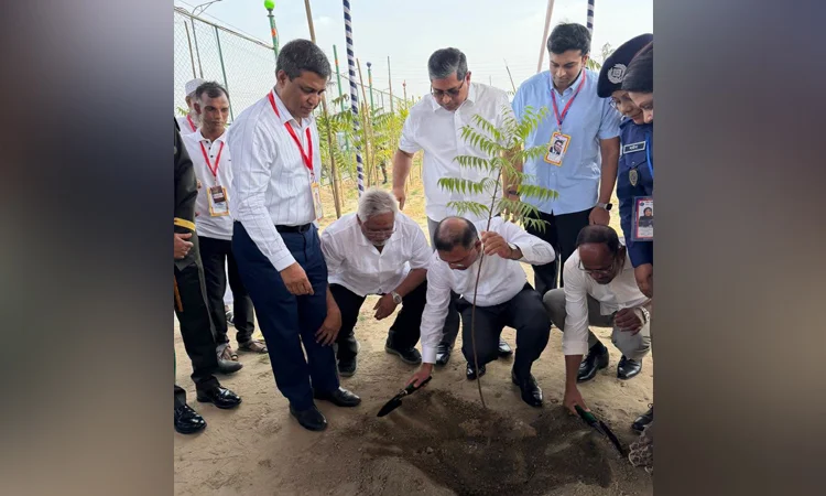 ঢাকা-আরিচা মহাসড়কে সবুজায়ন ও সৌন্দর্যবর্ধন কর্মসূচির উদ্বোধন করলেন প্রধানমন্ত্রী 